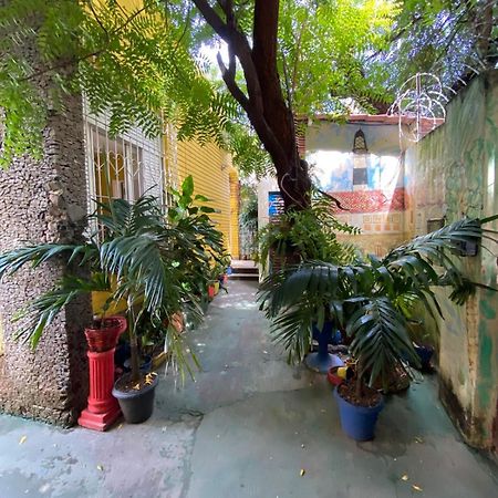 Hostel Sol Da Barra 萨尔瓦多 外观 照片