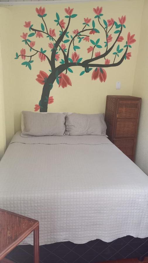 Hostel Sol Da Barra 萨尔瓦多 外观 照片